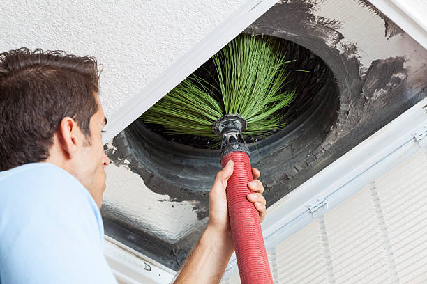 Best Air Duct Cleaning Near Me  in Pinconning, MI